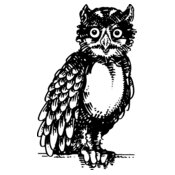 OWL3