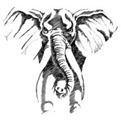 ELPHANT4