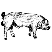 HOG0004