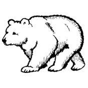 BEAR017