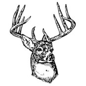 DEER006