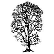 TREE0021